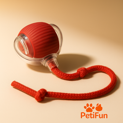 PetiBall | Pelota Interactiva